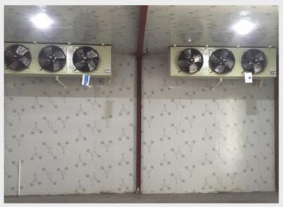 冷凍庫(kù)工程案例